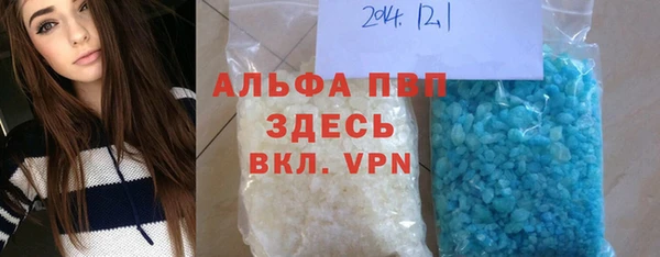 стаф Аркадак