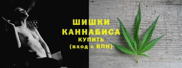 стаф Аркадак