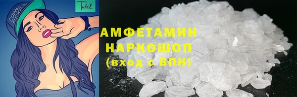 стаф Аркадак
