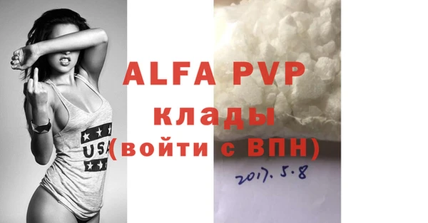 стаф Аркадак