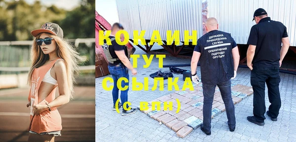 стаф Аркадак