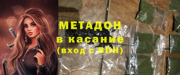 стаф Аркадак