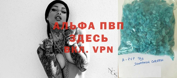 стаф Аркадак