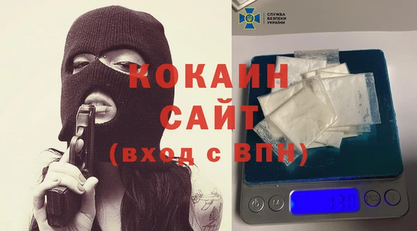 стаф Аркадак