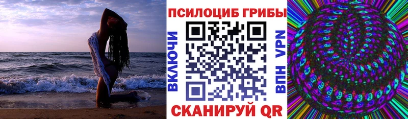где можно купить Полысаево Псилоцибиновые грибы Psilocybe