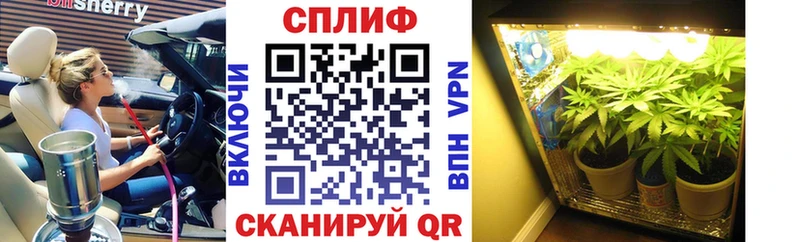 Марихуана тримм  МЕГА как войти  Полысаево  наркота 