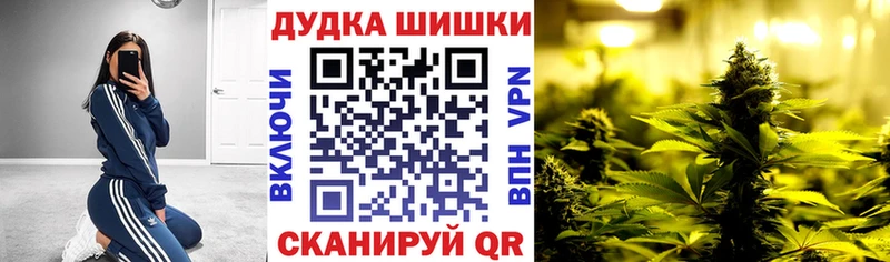 Марихуана сатива Полысаево